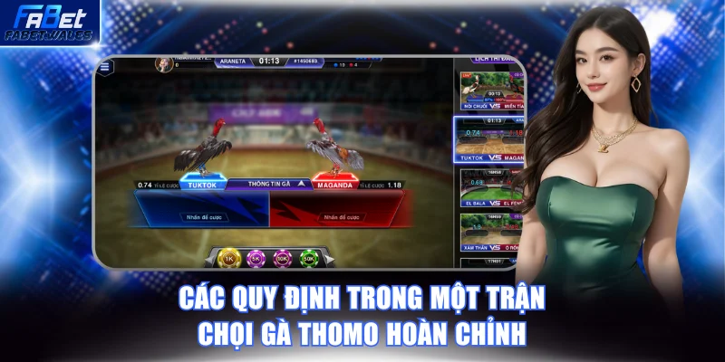 Các quy định trong một trận chọi gà Thomo hoàn chỉnh
